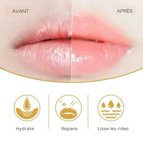 Lip Plumper Volumisant